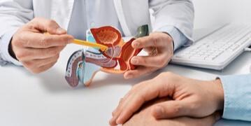 mãos de um médico demonstrando a um paciente o interior de uma próstata de mentira